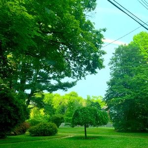 Meet your Posher, Daria